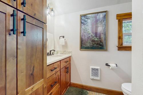 a bathroom with a sink and a toilet at Bear Creek Cabin in Government Camp