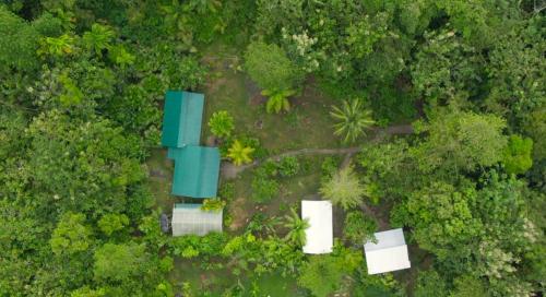 an overhead view of a forest with buildings and trees at Casa Caimito in Nuquí