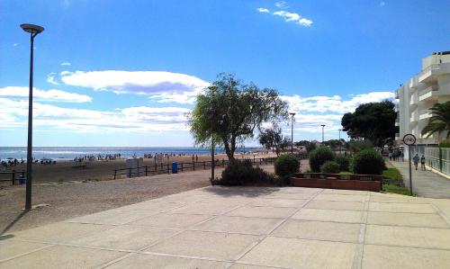a sidewalk next to a beach with a tree at APCOSTAS - Complejo Al Andalus in Alcossebre