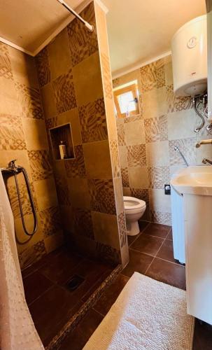 a bathroom with a toilet and a sink at Brvnara Duga njiva Banjaluka in Čelinac