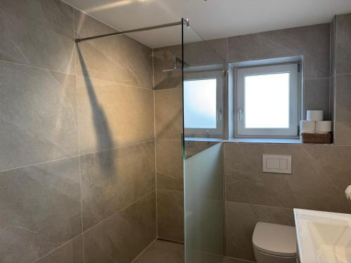 a bathroom with a shower with a toilet and a window at Appartement Wilhelm in Ehrwald