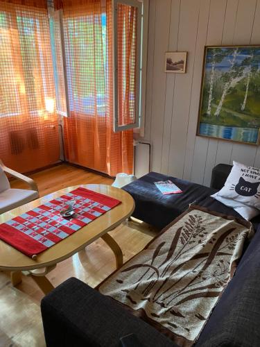 Et opholdsområde på Traditional Finnish Lapland house at wild forest backyard!