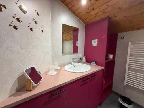 a bathroom with a sink and a mirror at LES JARDINS DE CARIBOLE in Fourneaux