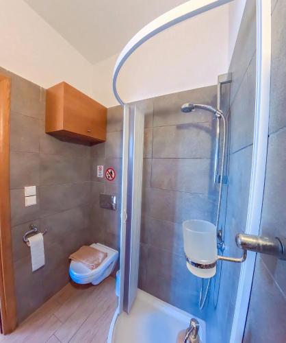 a bathroom with a shower and a toilet at CALLIOPE MAILLE studios & apartments in Myrties