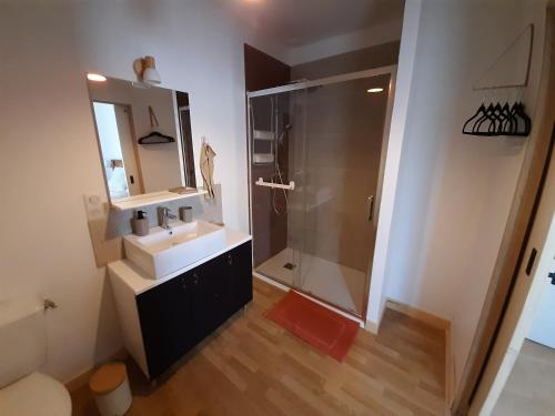 a bathroom with a shower and a sink and a mirror at Gîte À l'ombre du pommier in Ruynes-en-Margeride