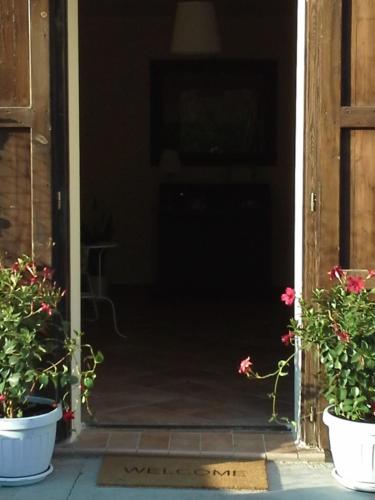 an open door with two potted plants at B&B Happiness in the Country in Brescello