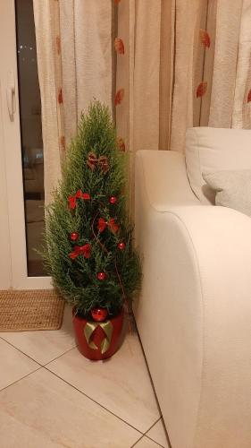 een potplant op de vloer naast een bank bij Skyline Vista - Sea View Apartment with Free Parking in Piraeus