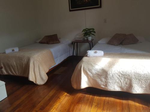 Galeriebild der Unterkunft HOTEL EL SOL DEL GALERAs in Pasto