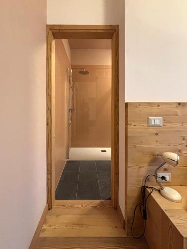 a bathroom with a walk in shower with a door at Parirolo B&B in Tresivio