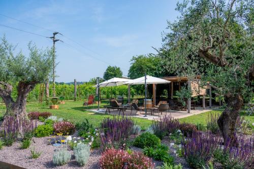 Gallery image of Agriturismo Roccat in Valdobbiadene