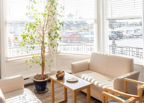 a living room with a couch and a potted tree at The Carlton Hotel in Great Yarmouth