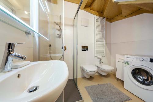 a bathroom with a sink and a washing machine at Chalet Lacedel - Dolomiti Skyline in Cortina dʼAmpezzo