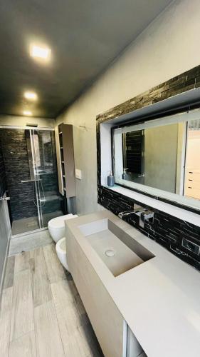 a bathroom with a toilet and a sink and a shower at Frascati Tower B&B in Frascati