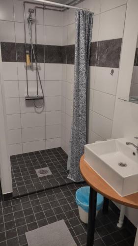 un bagno con lavandino e doccia di Hotel 24 - Apartments a Kemi