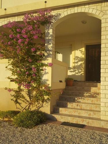 Φωτογραφία από το άλμπουμ του Apartmani Luka σε Zubovići