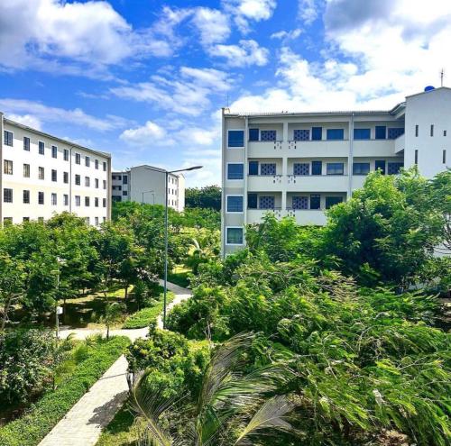 VipingoFuraha Homes的前面有树木的一群建筑