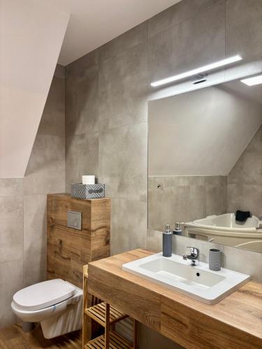 a bathroom with a sink and a toilet and a mirror at Rezydencja Kojsowka in Witów