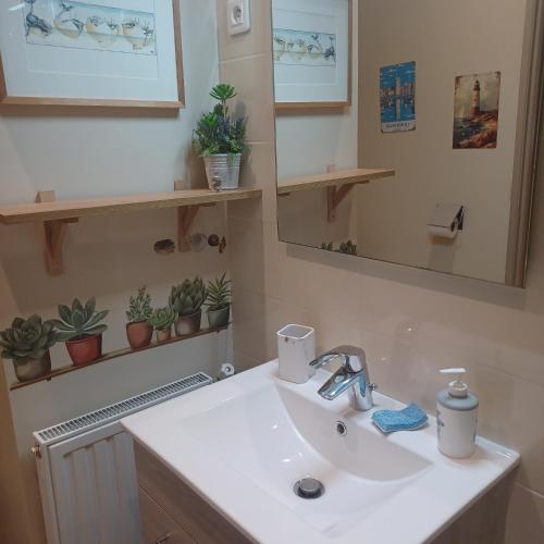 a bathroom with a sink and a mirror and plants at Apt cosy dans maison de charme in La Rochelle