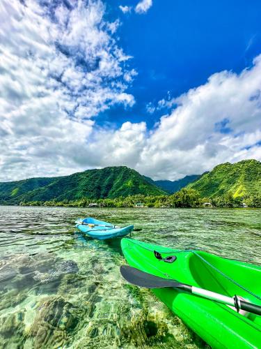 Maison familiale entre Terre et Mer - climatisé - canoes et paddles inclus - Teahupo'o Lodge Tahiti