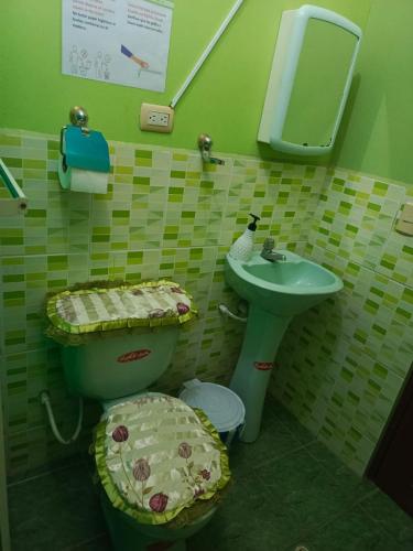 a green bathroom with a toilet and a sink at Hospedaje Piquero in Puerto Baquerizo Moreno