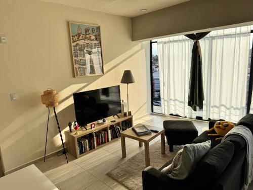 a living room with a couch and a television at Mexico City, your Hub in coyoacán in Mexico City
