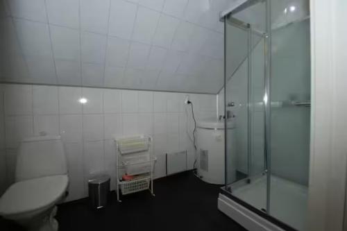 een badkamer met toilet en glazen douche bij Larsen Rorbu Lofoten in Napp