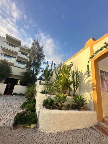 Relaxing studio in Albufeira Jardim