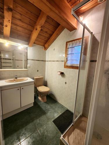 une salle de bains avec toilettes, lavabo et douche dans l'établissement Chalet Pascal, à Valloire