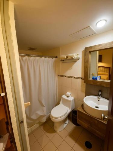 a bathroom with a white toilet and a sink at Hotel Plaza Independencia in Villahermosa