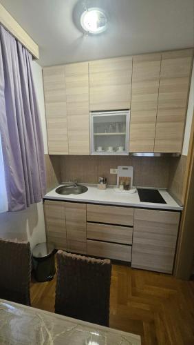 a kitchen with a sink and a counter top at Vera Solaris in Vrnjci