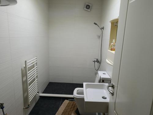 a small bathroom with a toilet and a sink at Besi Vushtrri in Mitrovicë