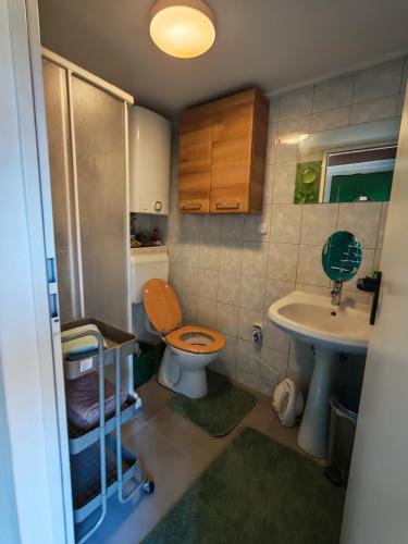 a small bathroom with a toilet and a sink at WoodHouseDream Jakuzzi in Nazarje