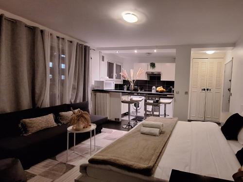 Kuchyň nebo kuchyňský kout v ubytování Carnet2voyages Suresnes - Proche Paris, La Défense