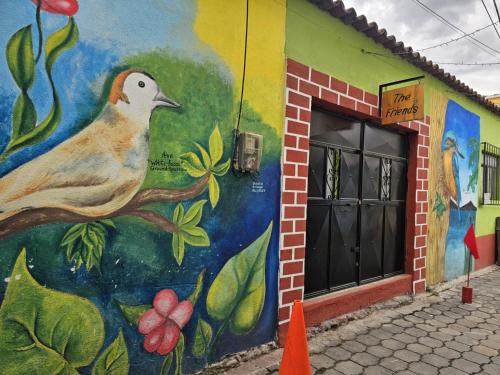 Hostal The Friends