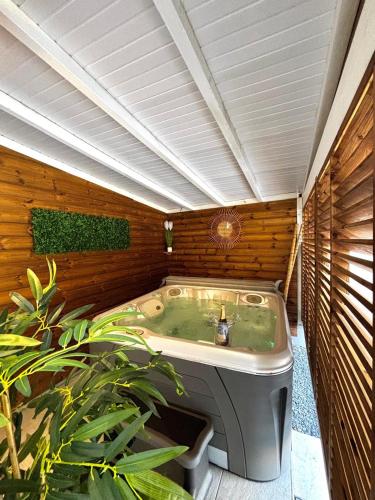 a jacuzziificialificialificialificialificialificialificialificialificialificialificial at La bulle D'Isma - Jacuzzi intimiste, proche plage in Le Gosier