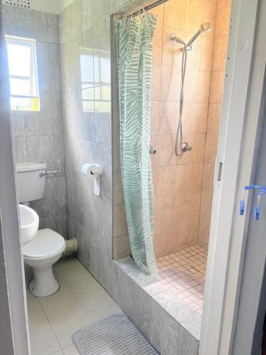 a bathroom with a shower and a toilet at The Nest- on Knowling Street in Grahamstown