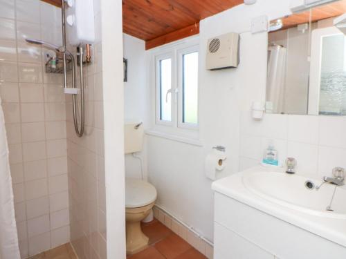 a white bathroom with a toilet and a sink at Bryncyn in Newport