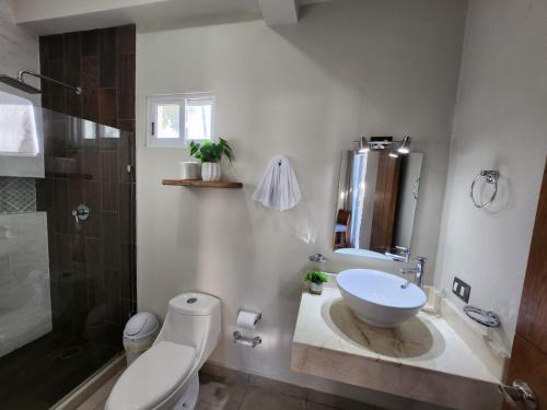 een badkamer met een toilet, een wastafel en een douche bij Hotel Otoch Apartments in Telchac