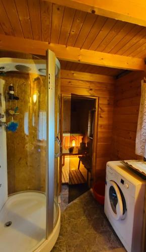 a bathroom with a shower and a washing machine at Laulu Harmony house in Laulasmaa