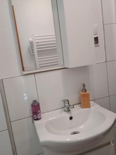 a bathroom with a white sink and a mirror at Noclegi Sówka in Sośnina