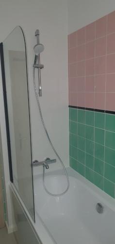 un bagno con doccia con porta in vetro di Untern Schloss 59 a Bautzen