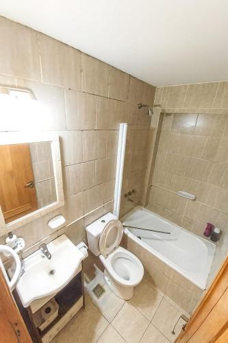 a bathroom with a toilet and a sink and a tub at amailen ushuaia in Ushuaia