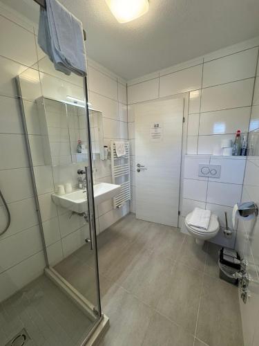 a bathroom with a shower and a toilet and a sink at Appartement Sami in Altenmarkt im Pongau