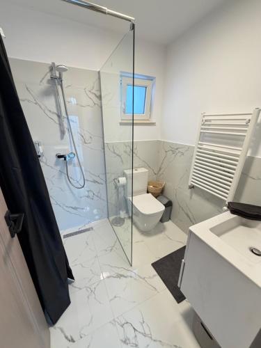 un bagno con doccia, WC e lavandino di Camera Family Suceava a Ipoteşti