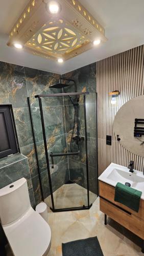 a bathroom with a shower and a toilet and a sink at Domki góralskie Cisza Leśna in Czerwienne