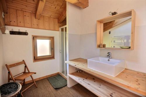 een badkamer met een wastafel en een spiegel bij Chalets à Saint Jean d'Aulps - Coffy MAE-3601 in Saint-Jean-dʼAulps