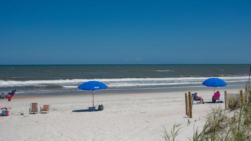 Příroda nedaleko prázdninového domu