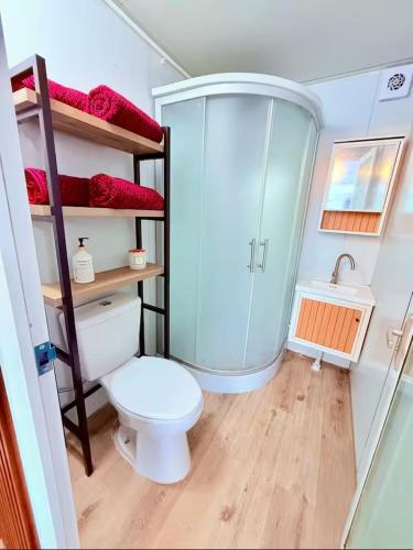 a small bathroom with a toilet and a shower at Casa Vagon Isla Bendita 2 in La Gonzalez