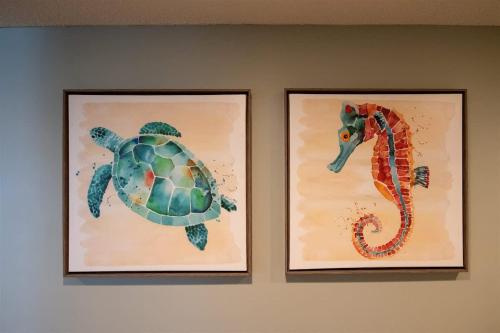 Ảnh trong thư viện ảnh của Surf & Racquet Club B148 -Pool ở Đảo Amelia