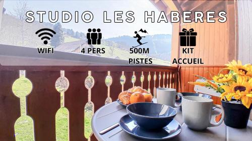 Y'Hôtes - Studio à 5min à pieds des pistes de ski